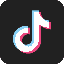 TikTok icon